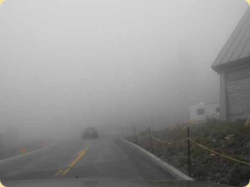 Mt. Rainier National Park 232