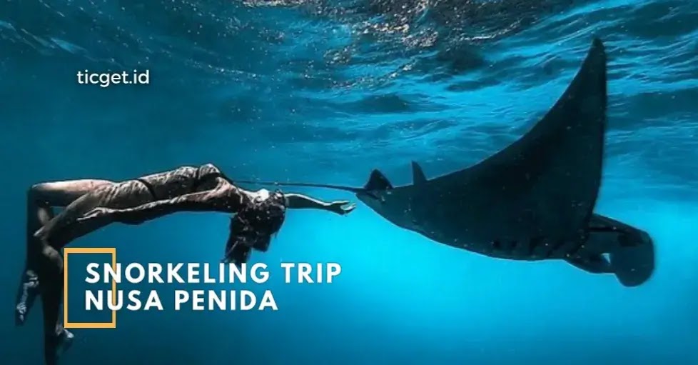 cheap-online-ticket-to-nusa-penida-snorkeling-trip