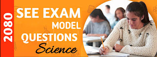 SEE Model Question Science 2079