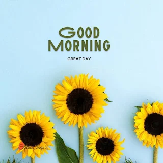 New-The-Good-Morning-Images