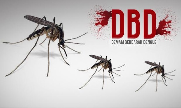 herbal-demam-berdarah-dengue