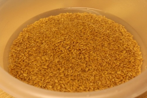 sprouted-einkorn-bread002 sprouted-einkorn-bread002