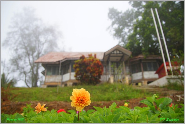 PG Hill Residential and Flower