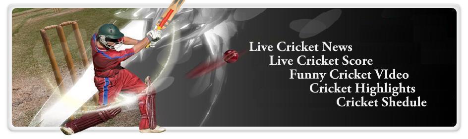 cricket games play. Cricket middot; Play Free Games