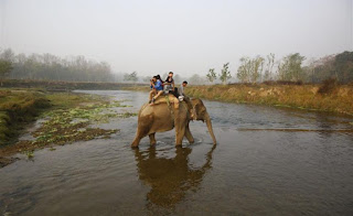 It’s The End Of Animal Shows As Tourist Attractions