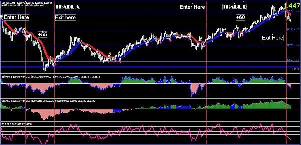 3 ducks trading system download
