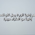 من هم إخوة الرب؟ وهل كان للمسيح إخوة من العذراء مريم؟ من هم إخوة الرب؟ وهل كان للمسيح إخوة من العذراء مريم؟