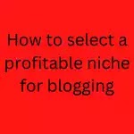 How to select a profitable niche for blogging