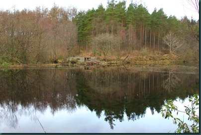 4-reflections