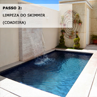 limpeza piscina skimmer coadeira