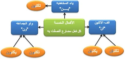 الأفعال الخمسة المستوى السادس ابتدائي