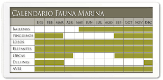 calendar fauna Valdes Peninsula