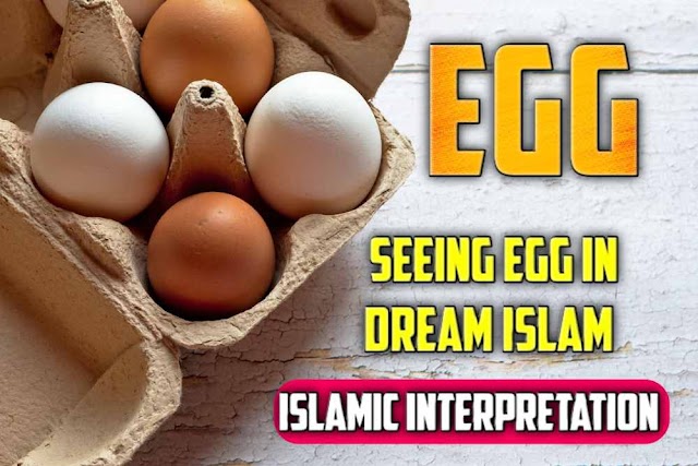 seeing egg in dream islam | Islamic interpretation of seeing egg in dream 