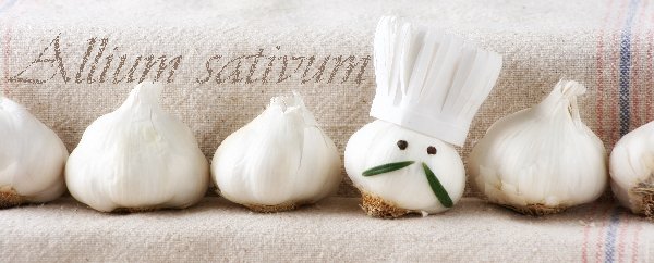 Madeline hill herb recipes