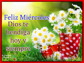 Imagenes con frases de feliz miércoles