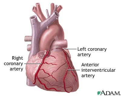 Heart Images