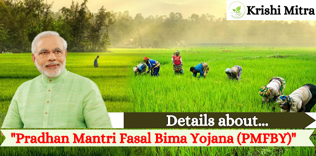 Pradhan Mantri Fasal Bima Yojana (PMFBY)