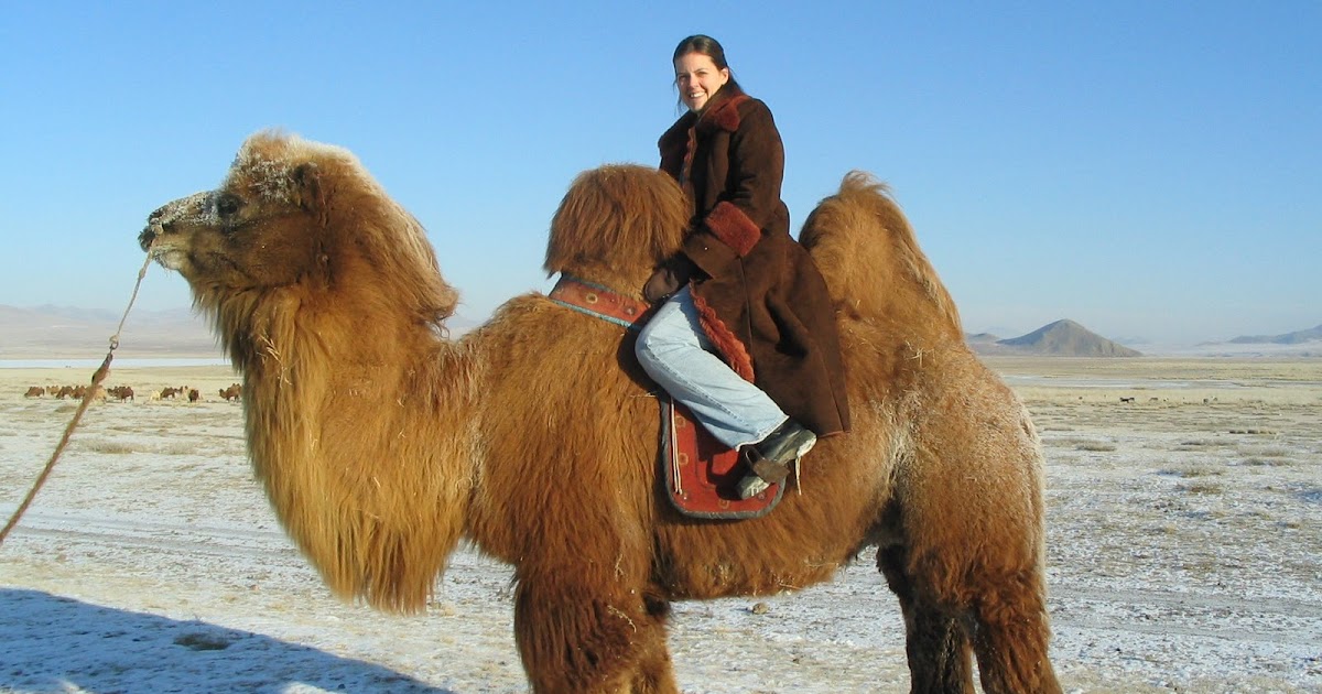 Big Small World: Camel crossing