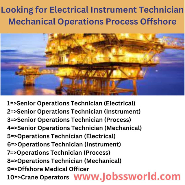 Looking for Electrical Instrument Technician Mechanical Operations Process Offshore