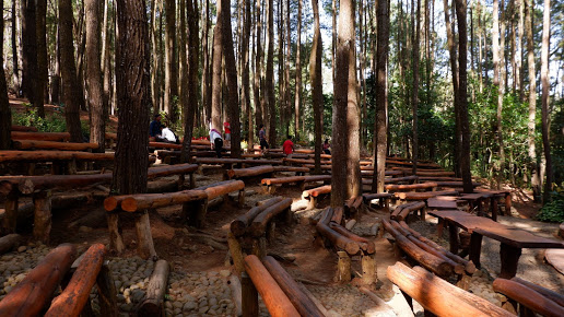 Harga Tiket, Rute, dan Fasilitas di Obyek Wisata Hutan Pinus Mangunan