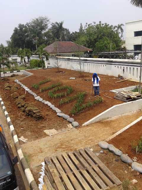 Tukang Taman  Bekasi  JUAL TANAMAN HIAS MURAH TUKANG TAMAN  TUKANG KOLAM MINIMALIS 