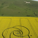 gambar crop circle, foto crop circle, alien, ufo, lingkaran tanaman, www.digaleri.com