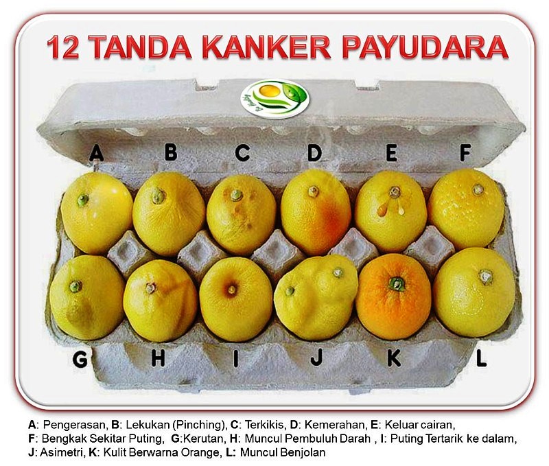 Info Spesial Kulit Jeruk Kanker Payudara, Motif Keramik