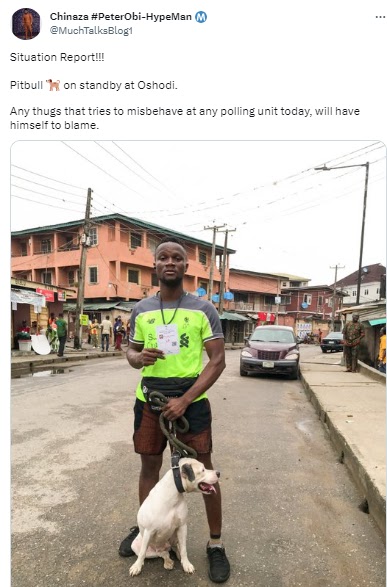 Voter steps out with a Pitbull despite police ban on use of dog, other pets at polling units - 247 World News 