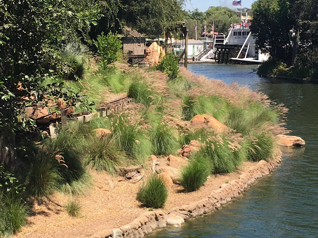 Disneyland Rivers of America Woods