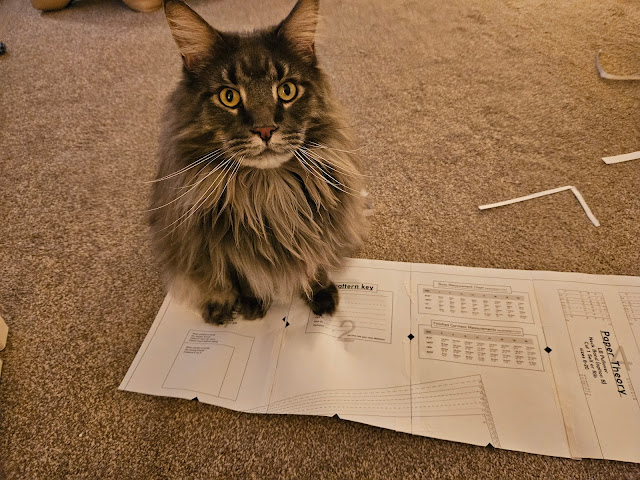 Maine Coon cat on pdf pattern being constructed