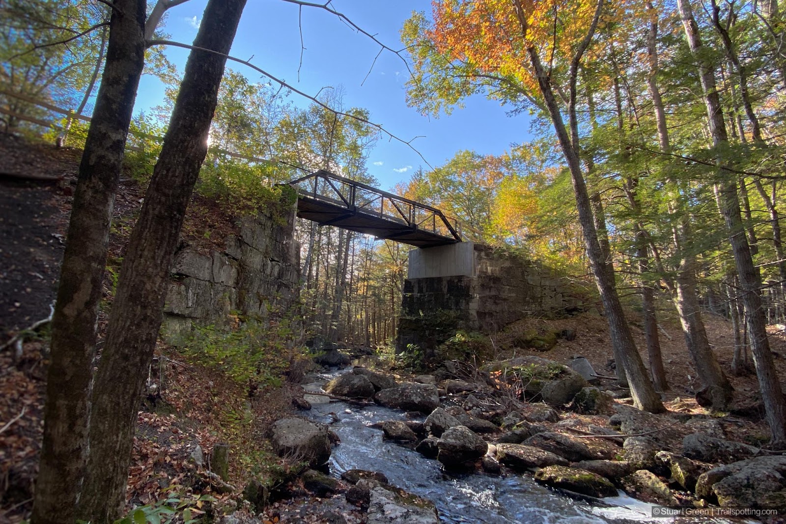 Standing in the forest. Above is a railroad embankment with a steel truss bridge spanning a small but fast-flowing creek.