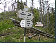 DSCN0830
