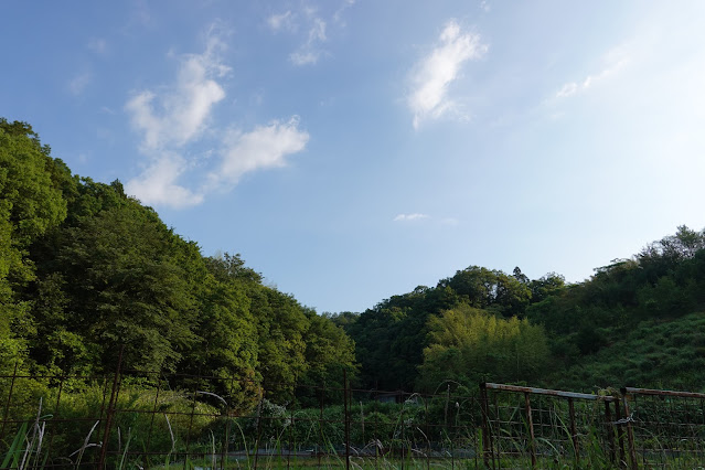 鳥取県西伯郡南部町東上 金山集落