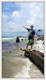 Cape San Blas, Florida-The Forgotten Coast- From My Front Porch To Yours