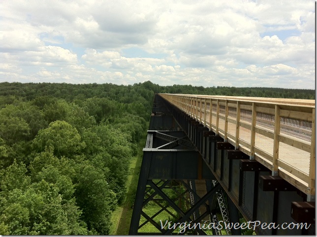 High Bridge in Farmville3