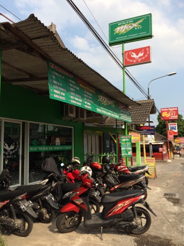 Pijat Jogja Selatan - Pijat Gan