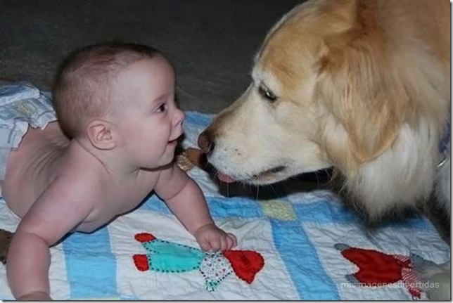 1 - niños con perros misimagenesdivertidas  (33)