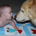 Imagenes tiernas de perros con bebés  y niños