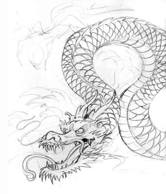 dragon tattoo sketches. Black Dragon Tattoo Sketch