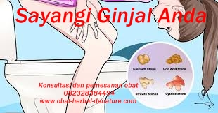 cara menghancurkan batu ginjal tanpa operasi,obat batu ginjal,obat kencing batu,cara mengeluarkan batu ginjal tanpa operasi,cara menghilangkan batu ginjal tanpa operasi