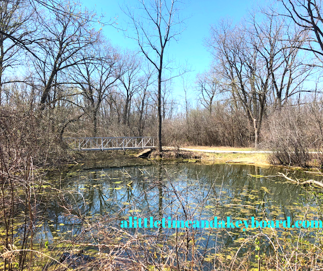 Picturesque spot where a bridge rises above the wetlands at Pratt's Wayne Woods in Illinois