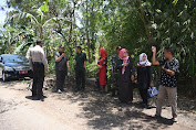 Warga Marah Jalan Di Tanami Pohon Pisang DPRD Komisi C Lansung Terbang