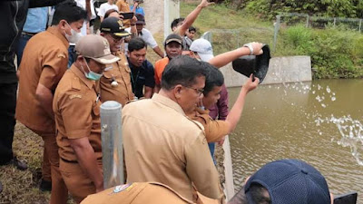 Bupati Toba Tabur 1000 Ekor Benih Ikan Mujahir dan 700 Ekor Ikan Mas di Embung Simangkuk