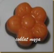 Coklat 6.4.2011 009