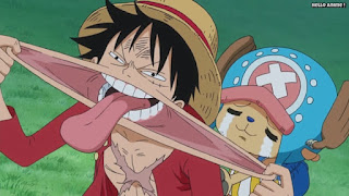 ワンピースアニメ 魚人島編 527話 ルフィ チョッパー かわいい Monkey D. Luffy | ONE PIECE Episode 527