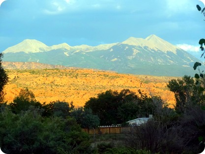 view out back