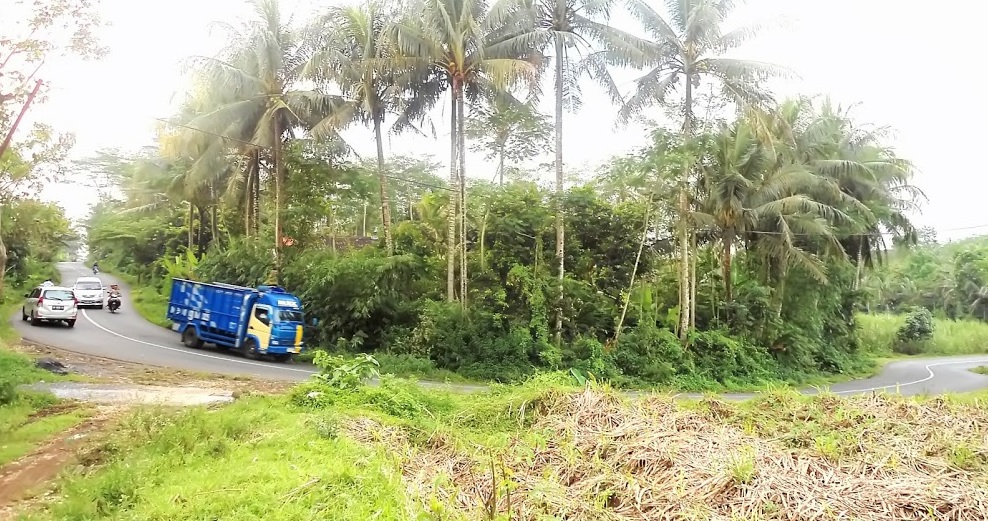 Misteri Jalan Kletek Desa Tunjung Kec. Randuagung