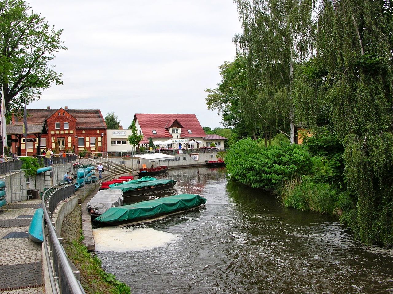 ogórki sprewaldzkie