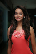 Cute Shanvi Glamorous Photos Gallery-thumbnail-37