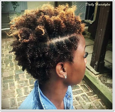 Natural Hairstyles For Black Women, short hair, curly, twist, updo, braids, natural african hair.